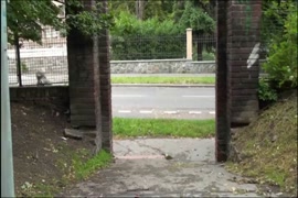Xvideosmaridogay